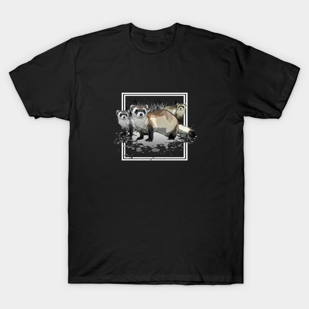 Ferrets T-Shirt by adamzworld